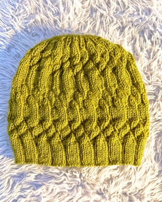 Different Path beanie