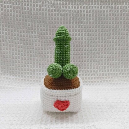 Surprise Cactus crochet pattern, Funny crochet pattern,Easy Crochet Patterns for Beginners