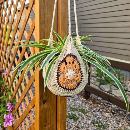 African Flower Plant Hanger
