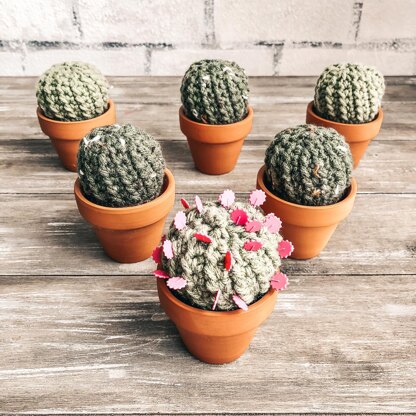 Barrel Cactus Pincushion