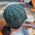 Cardinal Flower Beanie