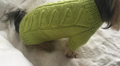 Lime Dog or Cat Sweater