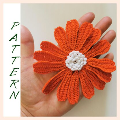 Gerbera Daisy Flower pattern