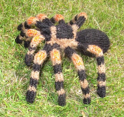 My Pet Tarantula