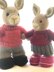 Elderberry Bunny and Outfits