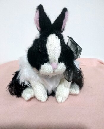 Dutch Rabbit #2