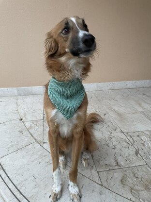 Cat & Dog Bandana