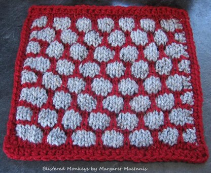 Blistered Monkey Butts 9" Afghan Block Square, 8" dishcloth