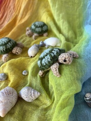 Sea Turtle Sweetie