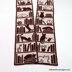 Cozy Cat Shelf Scarf