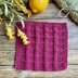 Curtain Call Dishcloth