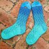 Euphyllia Lace Socks