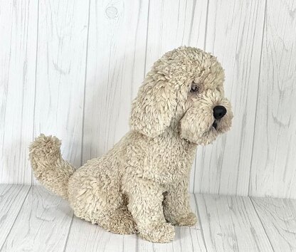 Havanese Dog