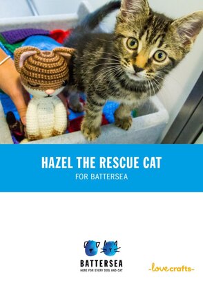Hazel the Cat for Battersea