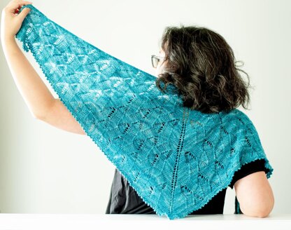 Senlac Shawl