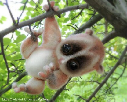 109 Slow Loris animal