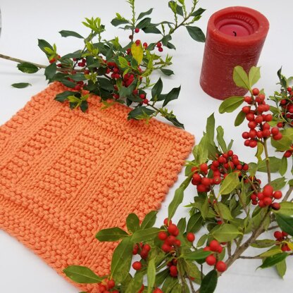 Spainhour Dishcloth