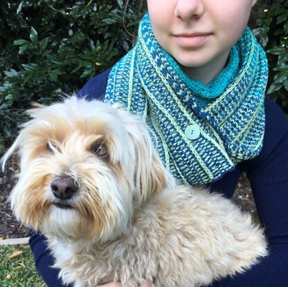 aurora cowl scarf