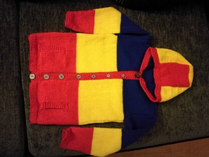 Child's hooded jacket