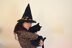 Witch Hat, Wizard Hat