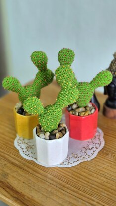 Prickly pear cactus