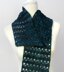 Broomstick Lace Scarf