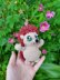 Hedgar the Toddler Hedgehog