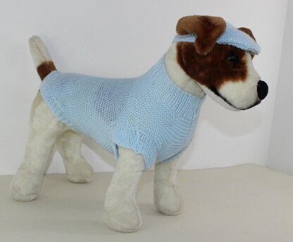 Small Dog 4 Ply Coat & Peak Cap