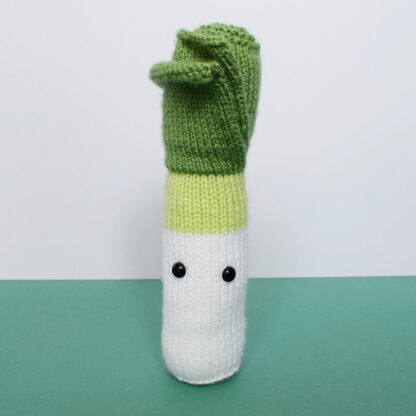 A Knitted Leek!