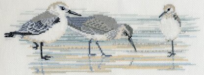 Bothy Threads Birds - Waders Cross Stitch Kit - 30cm x 11cm
