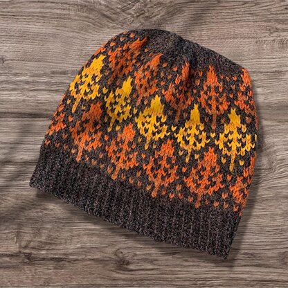 Mohawk Trail Knit Hat