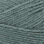 Petrified Forest (154J)