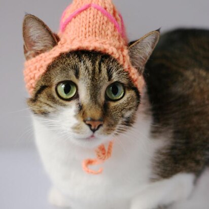 The Easter Egg Cat Hat