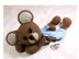 Teddy Bear Ragdoll