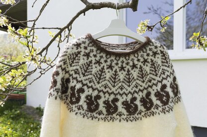 SQUIRREL Icelandic Lopapeysa Sweater for Adults and Kids