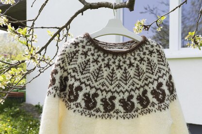 SQUIRREL Icelandic sweater