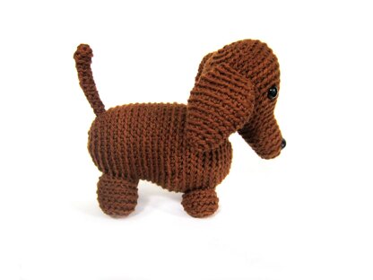 Dachshund