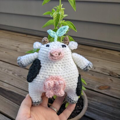 Cow Plant