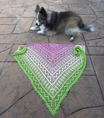 The Leela Shawl