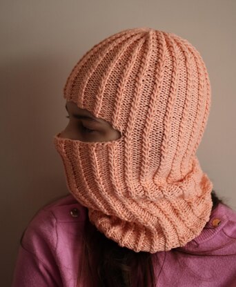 Winter Ski Mask