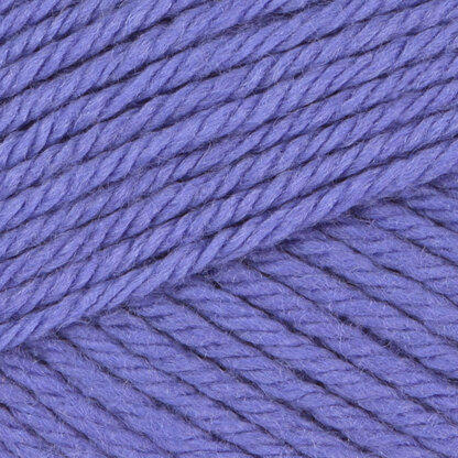 Blue Iris (116)