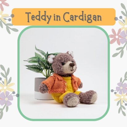 Teddy in cardigan