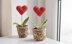 Valentine’s Day Heart Plant