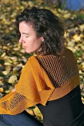 Scrumptious Knits by Carol Feller by Fyberspates