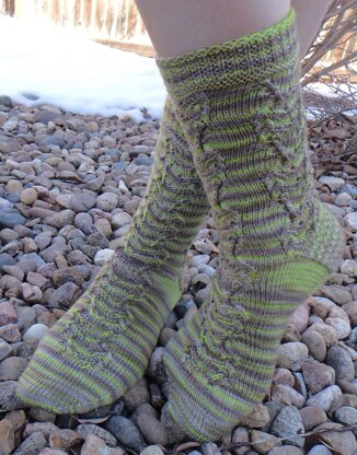 Bowtruckle Socks