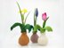 Little Flower Bulb Vase