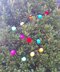 Bright Christmas decorations - lights, baubles, mini stockings