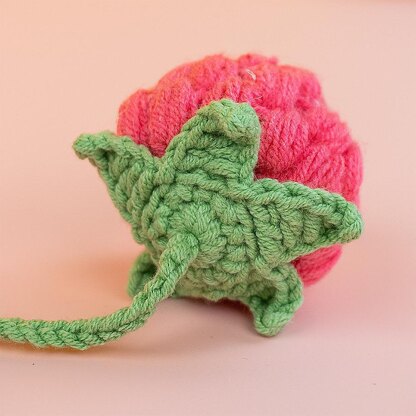 Raspberry Car Hanging