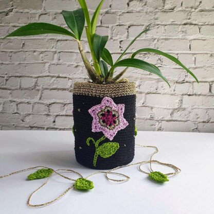 Clematis Pot Plant Cosy
