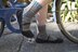 Bicycle Socks